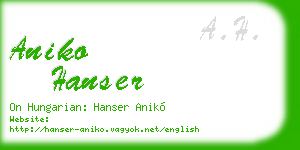 aniko hanser business card